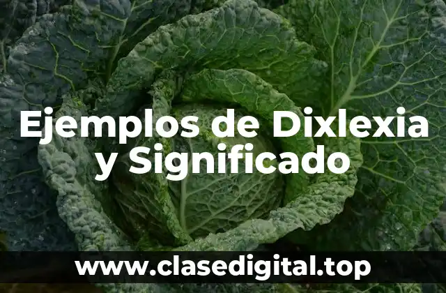 Ejemplos de Dixlexia y Significado