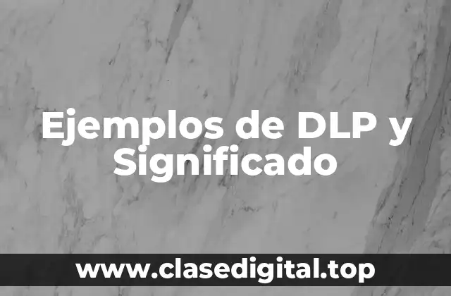 Ejemplos de DLP y Significado