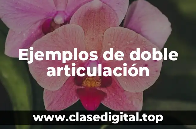 Ejemplos de doble articulación