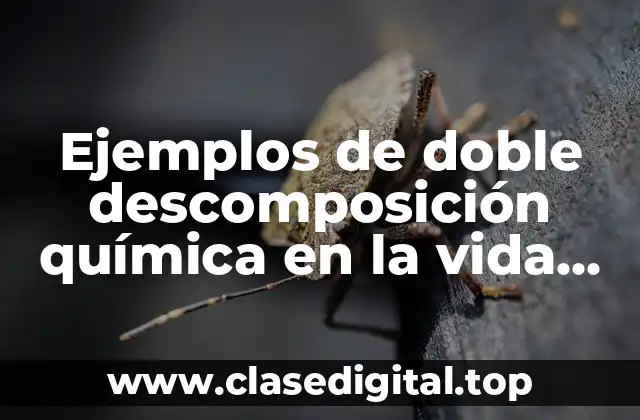 Ejemplos de doble descomposición química en la vida cotidiana y Significado