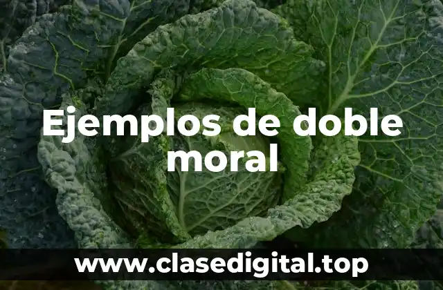 Ejemplos de doble moral