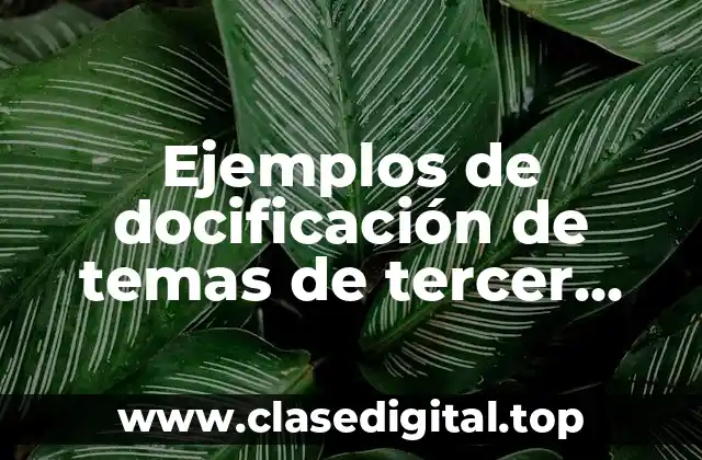 Ejemplos de docificación de temas de tercer grado