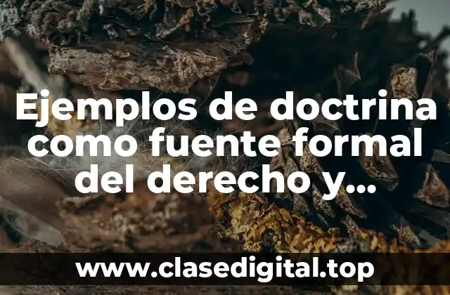 Ejemplos de doctrina como fuente formal del derecho y Significado