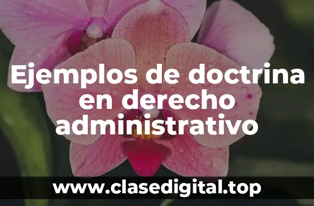 Ejemplos de doctrina en derecho administrativo