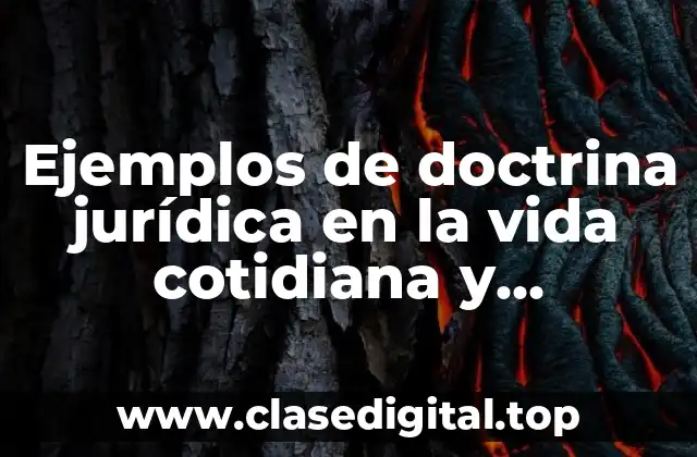 Ejemplos de doctrina jurídica