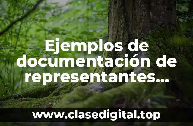 Ejemplos de documentación de representantes legales de empresas