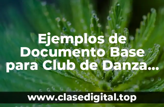 Ejemplos de Documento Base para Club de Danza SNA