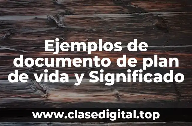 Ejemplos de documento de plan de vida