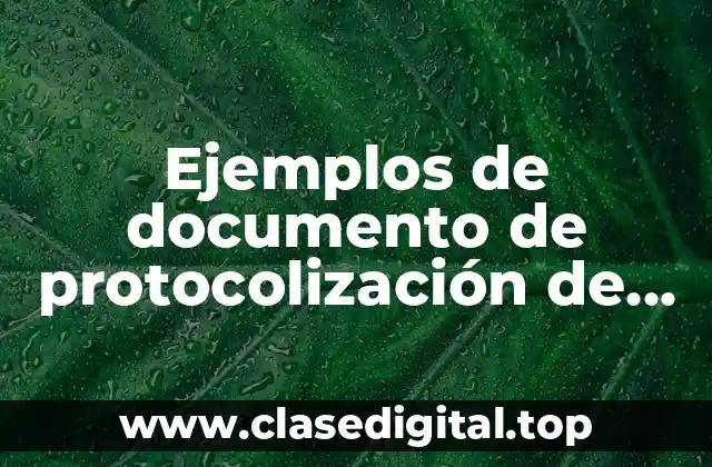 Ejemplos de documento de protocolización de un acta constitutiva