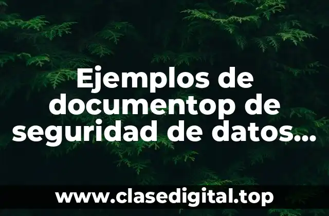 Ejemplos de documentop de seguridad de datos personales
