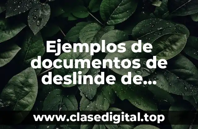 Ejemplos de documentos de deslinde de responsabilidades de una empresa