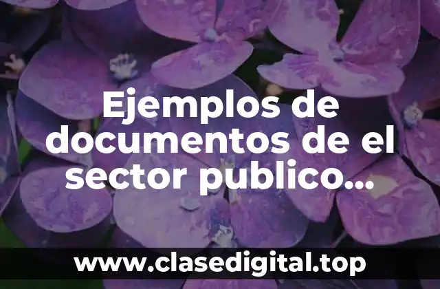 Ejemplos de documentos de el sector publico balance general