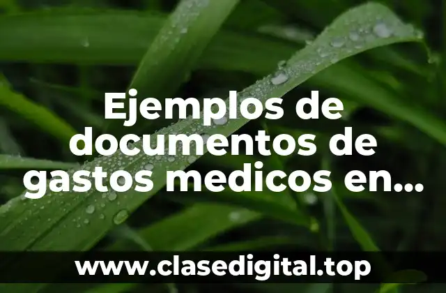 Ejemplos de documentos de gastos medicos