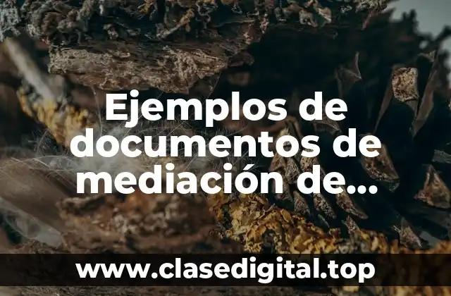 Ejemplos de documentos de mediación de mecanismos alternativos