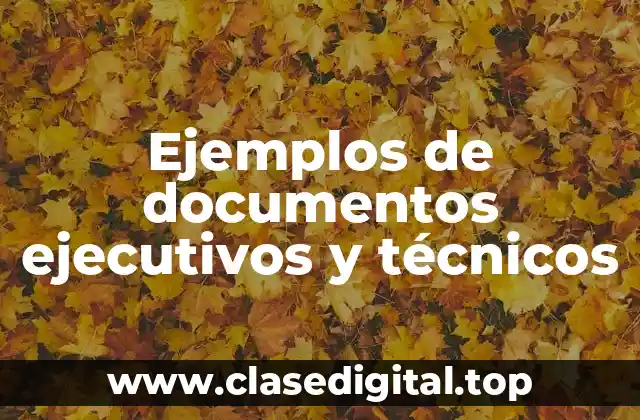 Ejemplos de documentos ejecutivos y técnicos