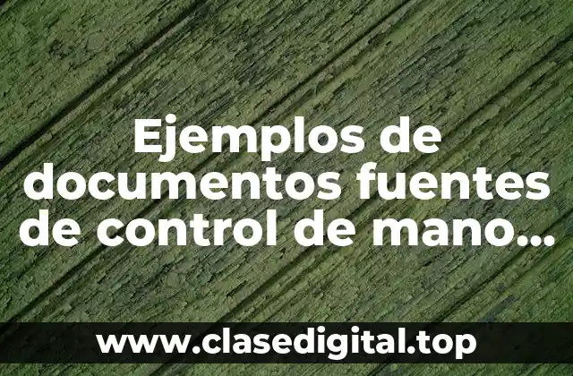 Ejemplos de documentos fuentes de control de mano de obra