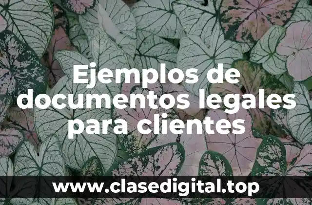 Ejemplos de documentos legales para clientes