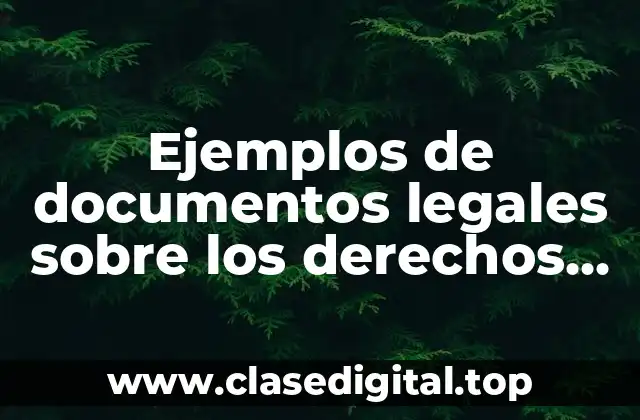 Ejemplos de documentos legales sobre los derechos humanos