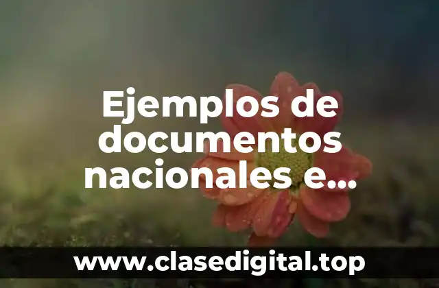 Ejemplos de documentos nacionales e internacionales sobre los derechos humanos