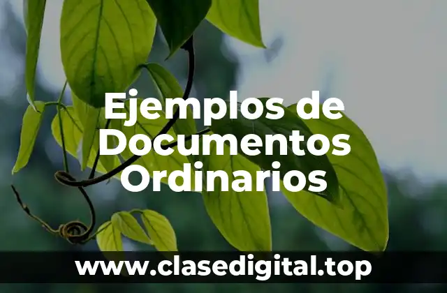Ejemplos de Documentos Ordinarios