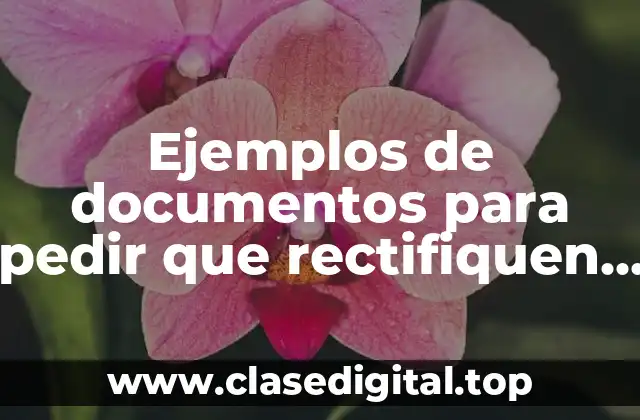 Ejemplos de documentos para pedir que rectifiquen una calificación y Significado
