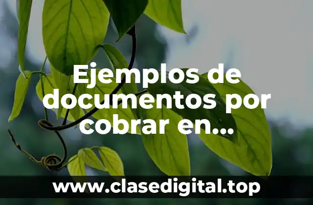 Ejemplos de documentos por cobrar en contabilidad
