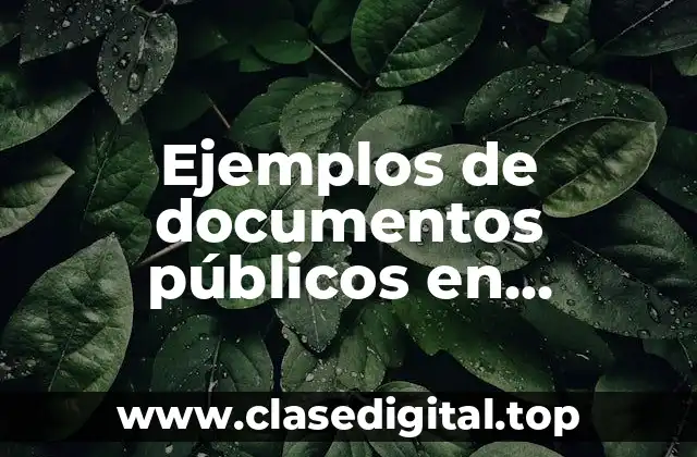 Ejemplos de documentos públicos en Colombia