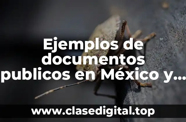 Ejemplos de documentos publicos en México y Significado