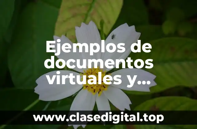 Ejemplos de documentos virtuales y Significado