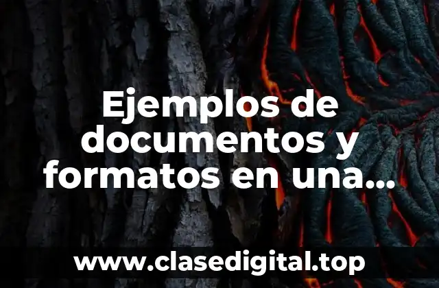 Ejemplos de documentos y formatos en una auditoria