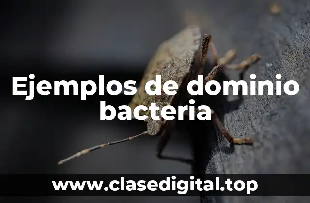 Ejemplos de dominio bacteria