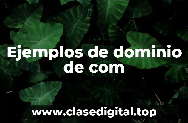 Ejemplos de dominio de com