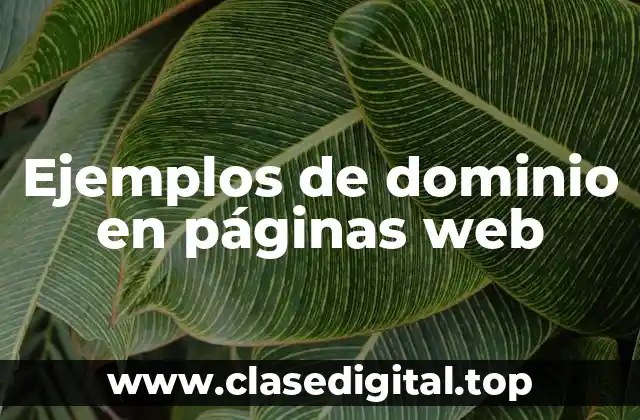 Ejemplos de dominio en páginas web