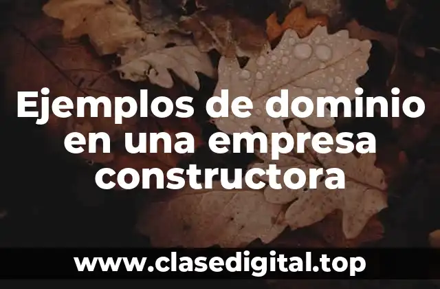 Ejemplos de dominio en una empresa constructora