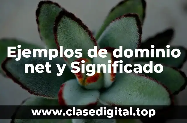 Ejemplos de dominio net