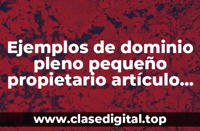 Ejemplos de dominio pleno pequeño propietario artículo 82