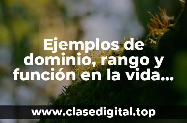 Ejemplos de dominio, rango y función en la vida cotidiana