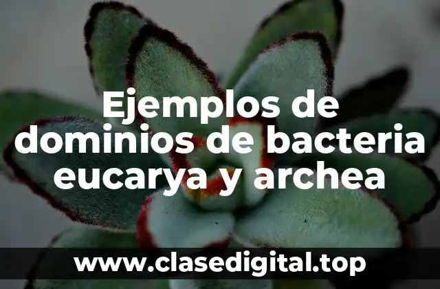 Ejemplos de dominios de bacteria eucarya y archea