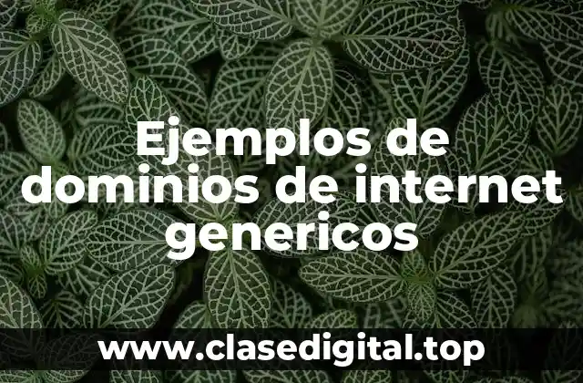 Ejemplos de dominios de internet genericos