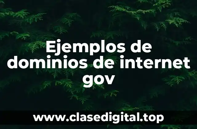 Ejemplos de dominios de internet gov