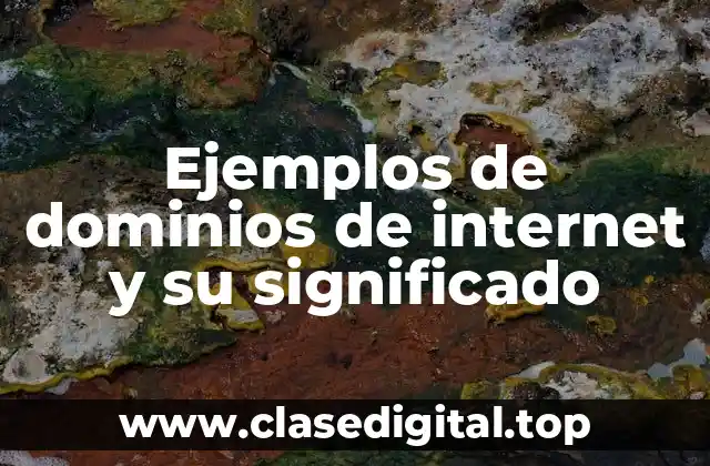 Ejemplos de dominios de internet y su significado