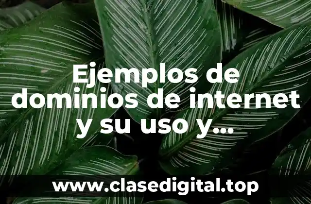 Ejemplos de dominios de internet y su uso y Significado