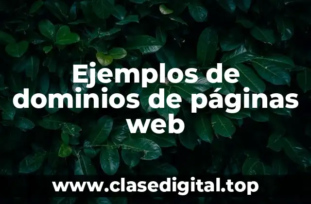 Ejemplos de dominios de páginas web