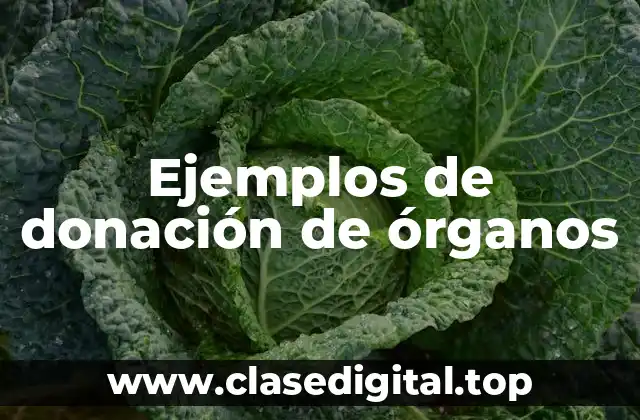 Ejemplos de donación de órganos
