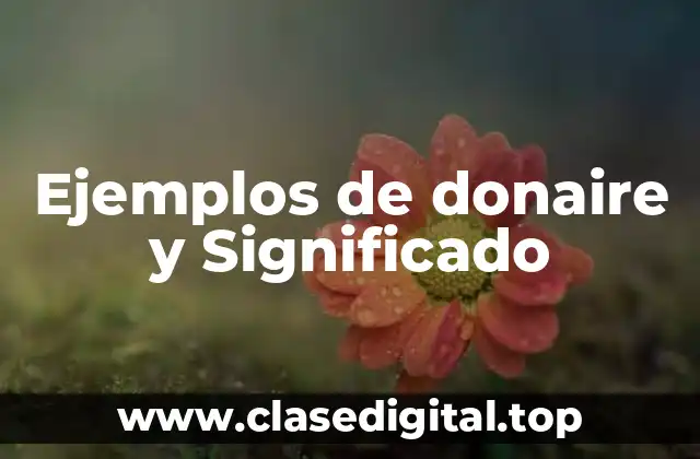 Ejemplos de donaire y Significado