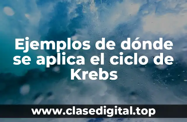 Ejemplos de dónde se aplica el ciclo de Krebs