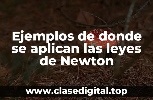 Ejemplos de donde se aplican las leyes de Newton