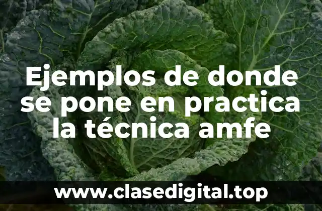 Ejemplos de donde se pone en practica la técnica amfe