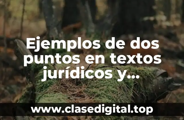 Ejemplos de dos puntos en textos jurídicos y administrativos y Significado