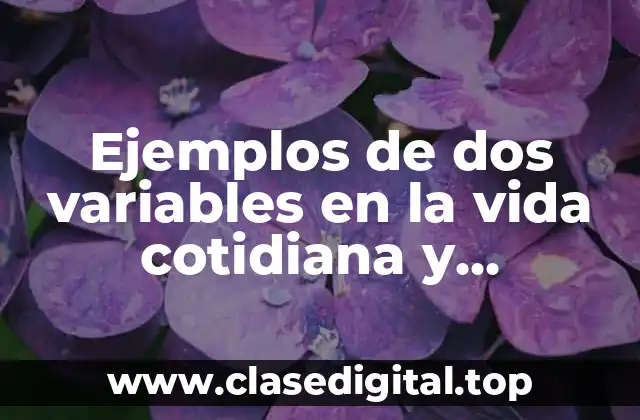 Ejemplos de dos variables en la vida cotidiana y Significado